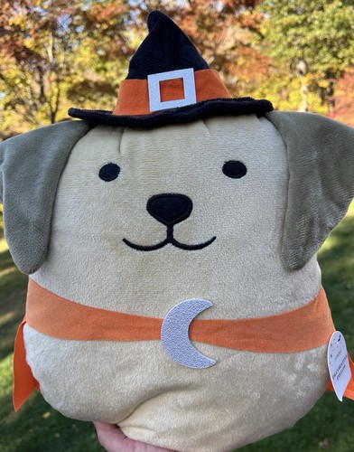 Dog pillow puppy witch - witch, costume