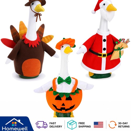 Set holiday goose - set,